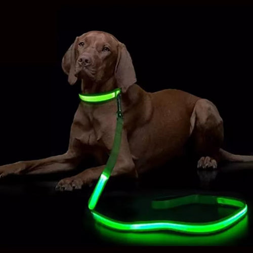 RoyalLED Dog Leash