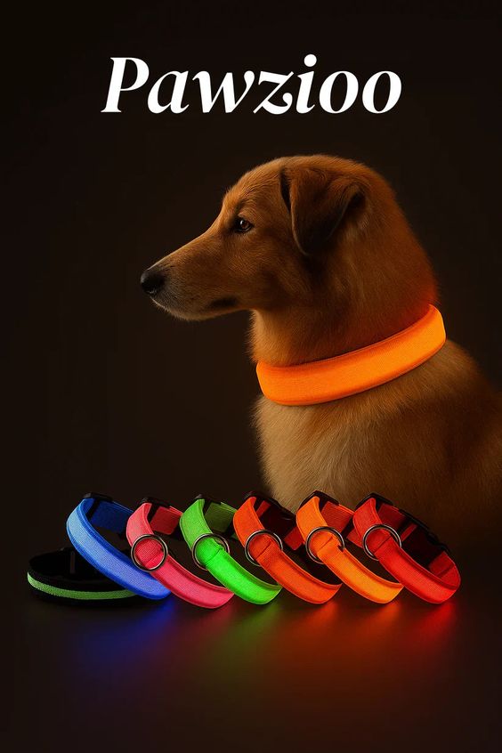RoyalPet™ Night Safety Bundle – LED Dog Collar & Leash