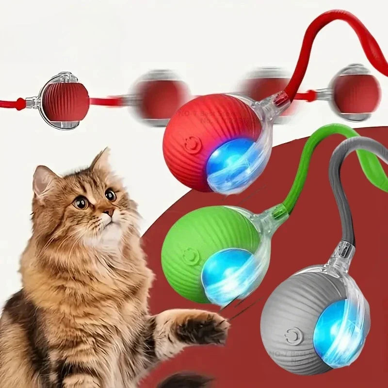 Auto Interactive Cat Ball