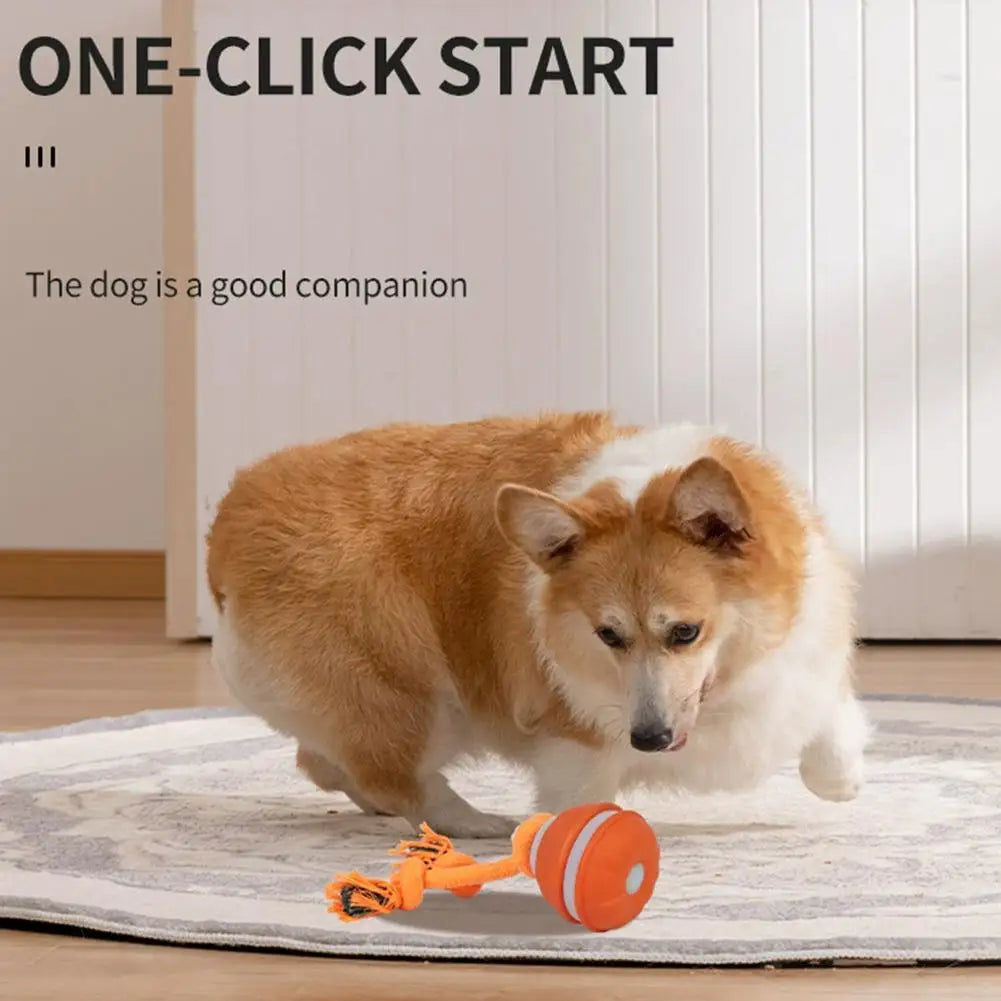 Motion-Activated Dog Toy Ball